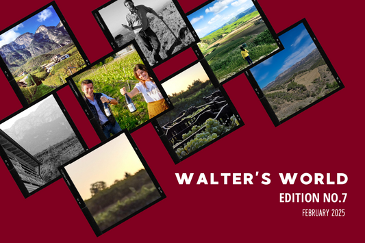 Walter's World, Edition No. 6 (February 2025)