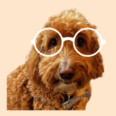 Walter's 'Wine is In' Classes