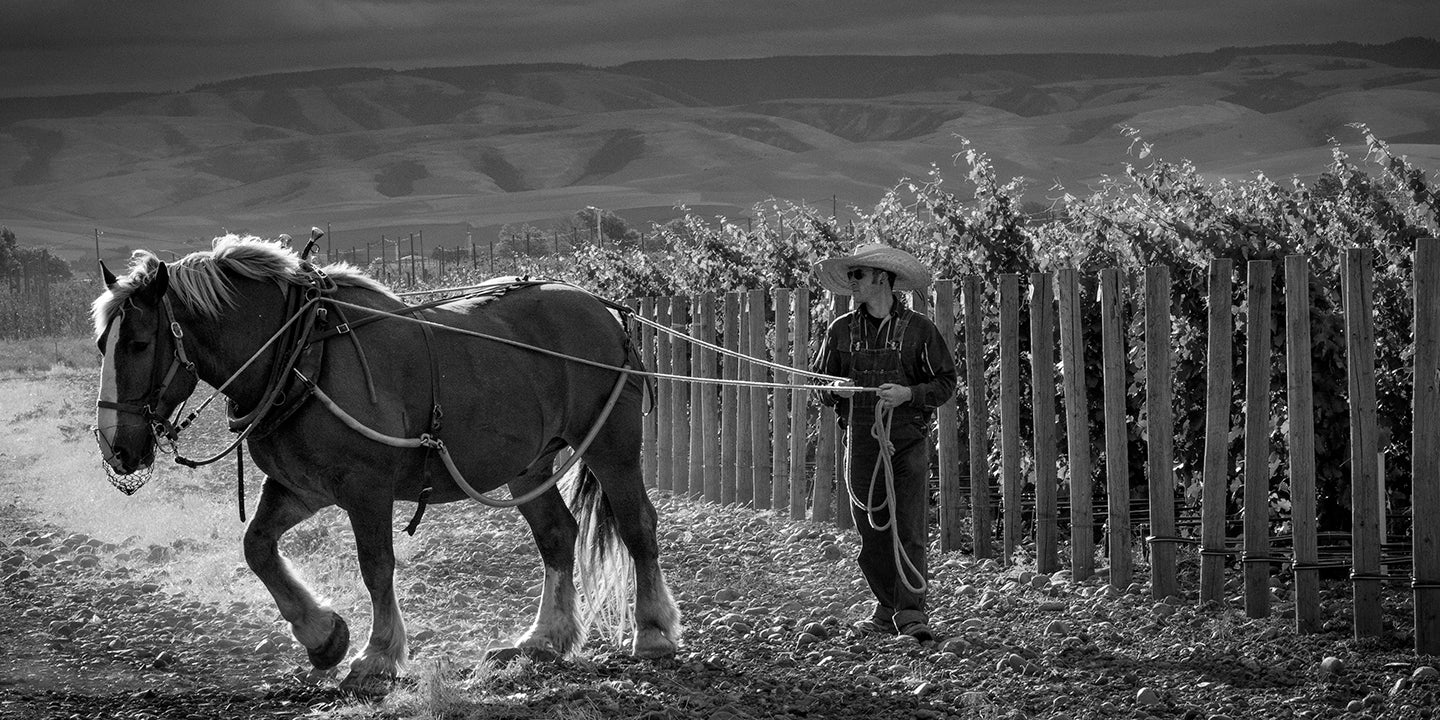 Inside The Stones: An Evening with Horsepower Vineyards