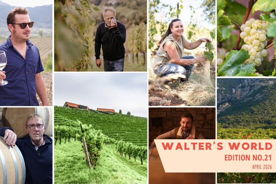Walter's World, Edition No. 21 (April 2026)