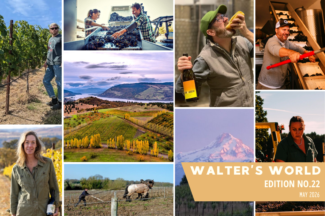 Walter's World, Edition No. 22 (May 2026)