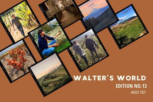 Walter's World, Edition No. 13 (August 2025)