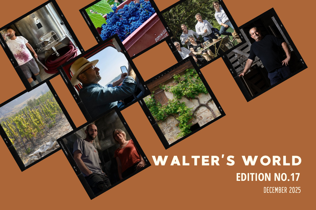 Walter's World, Edition No. 17 (December 2025)
