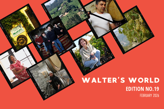 Walter's World, Edition No. 19 (February 2026)