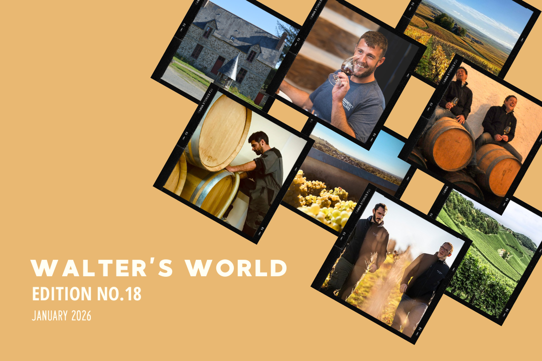 Walter's World, Edition No. 18 (January 2026)
