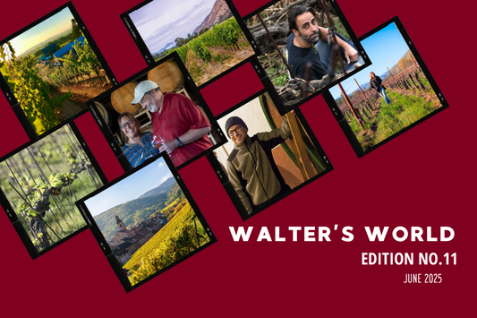 Walter's World, Edition No. 11 (June 2025)