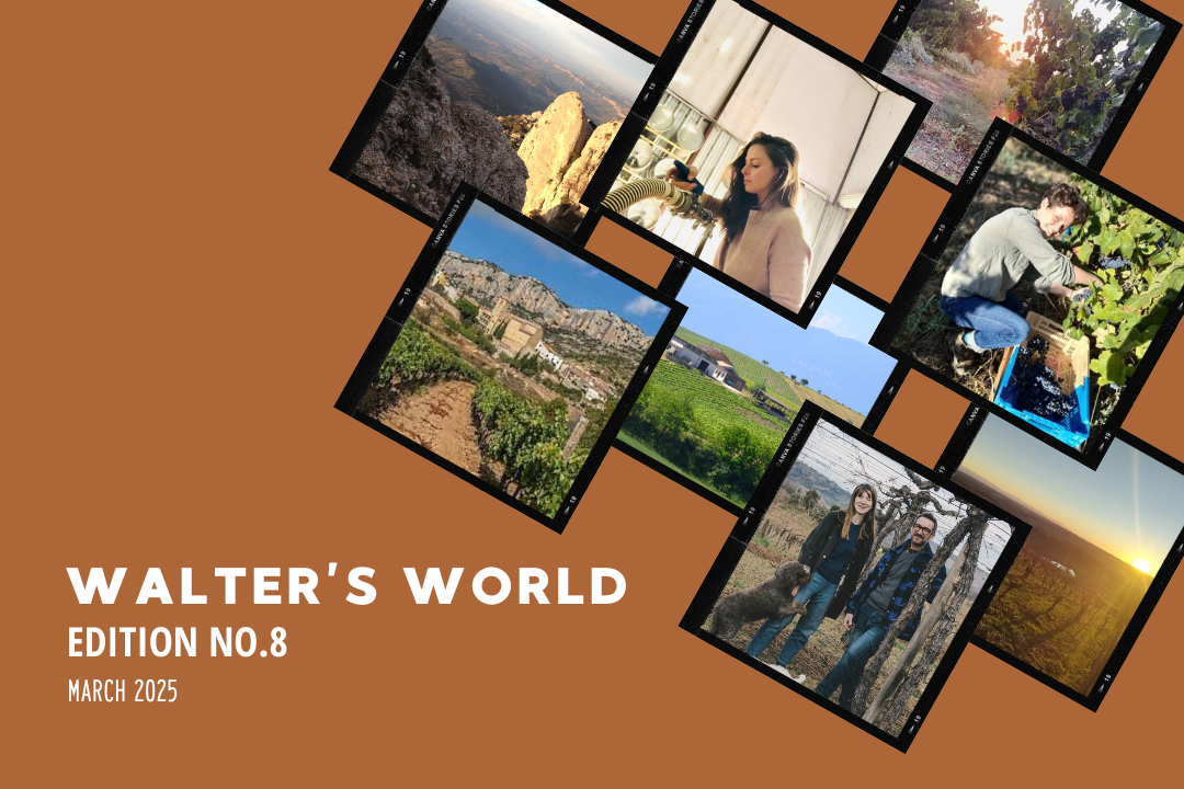 Walter's World, Edition No.8 (March 2025)