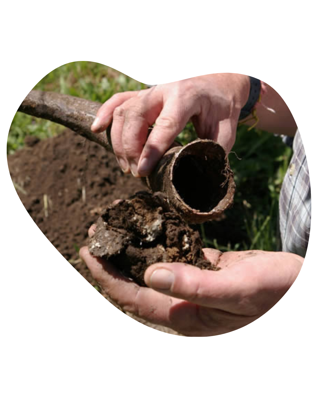 BIODYNAMIC WINE