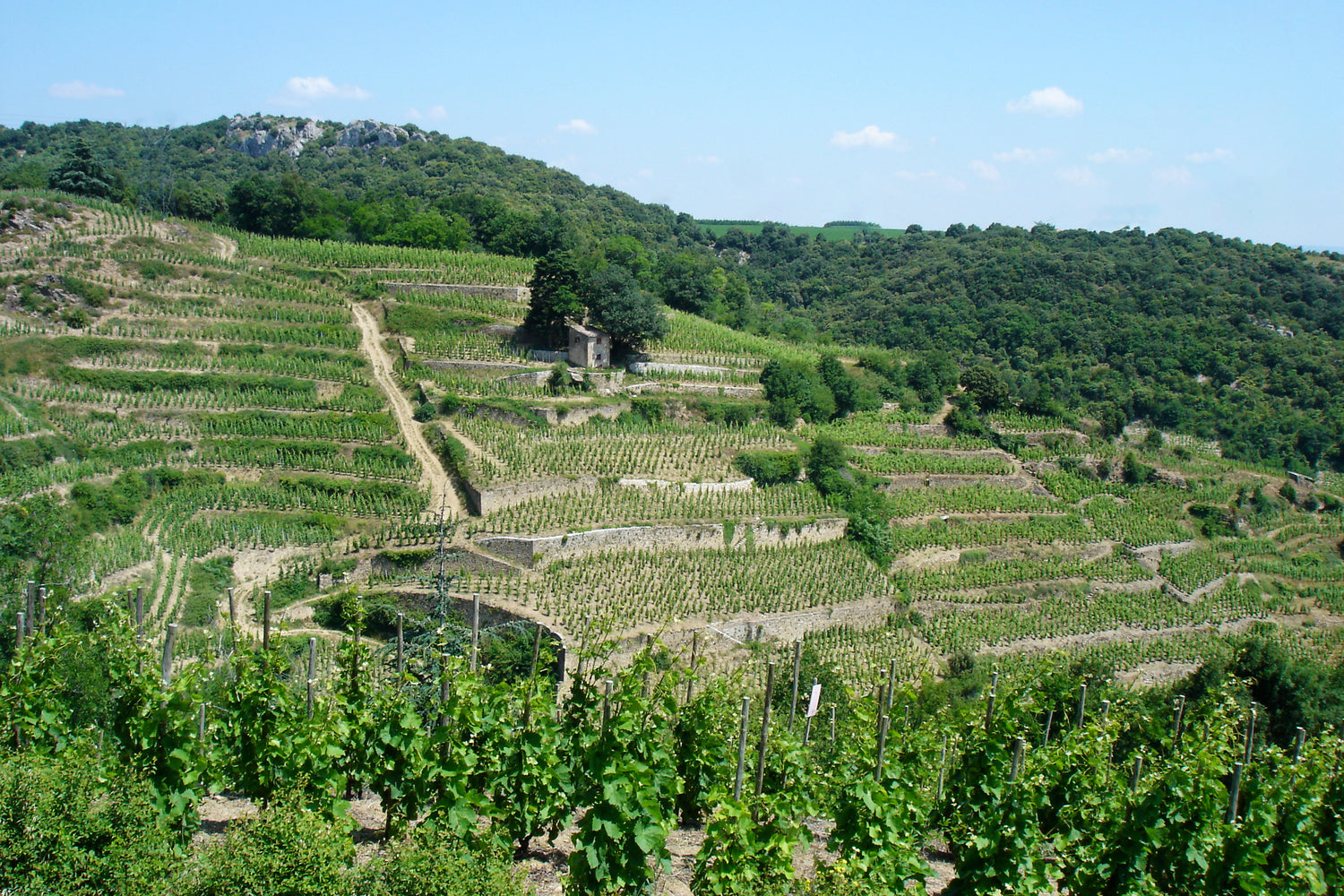 Domaine Clape