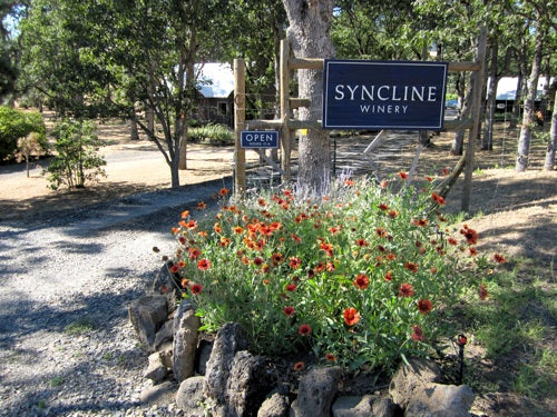 SYNCLINE