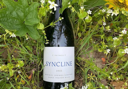 Syncline Cinsault