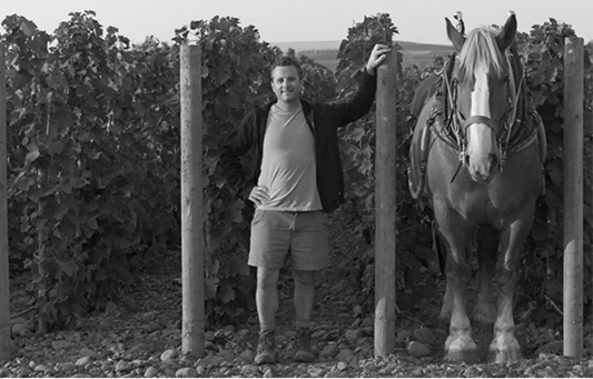 Inside The Stones: An Evening with Horsepower Vineyards